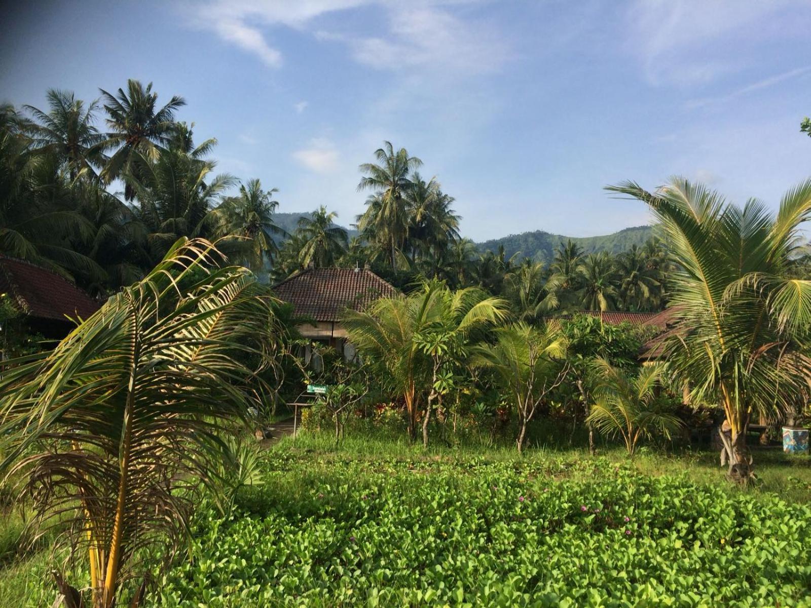 Bali Segara Lestari Oceanfront Villas Tejakula Zewnętrze zdjęcie