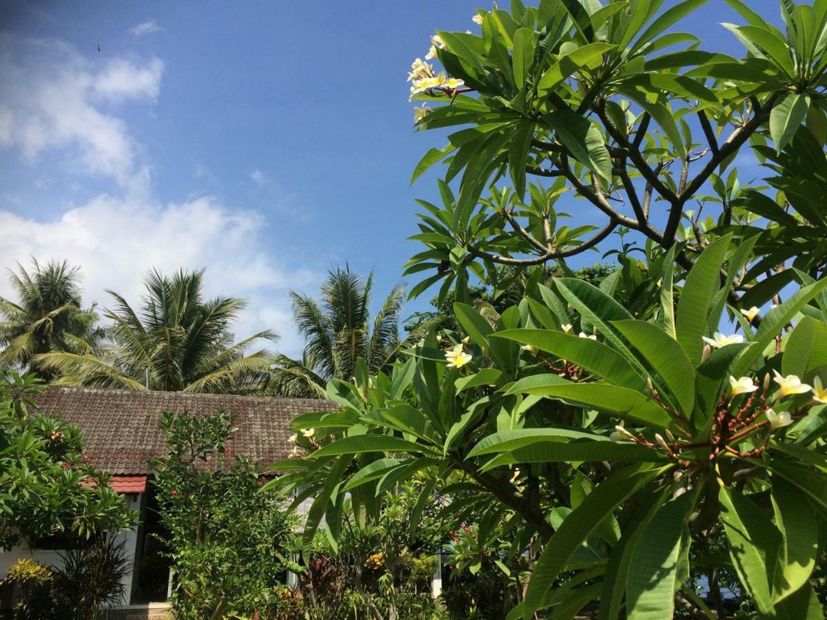 Bali Segara Lestari Oceanfront Villas Tejakula Zewnętrze zdjęcie