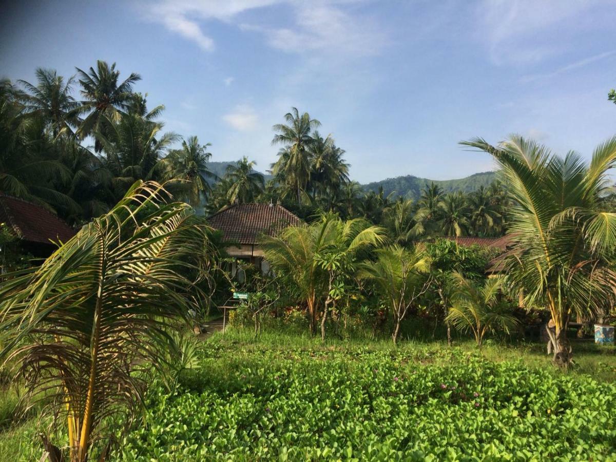 Bali Segara Lestari Oceanfront Villas Tejakula Zewnętrze zdjęcie